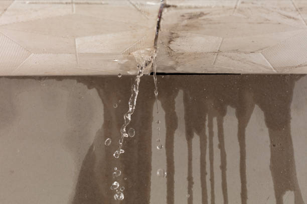 Professional Water Damage Repair technician working in Royalston, MA